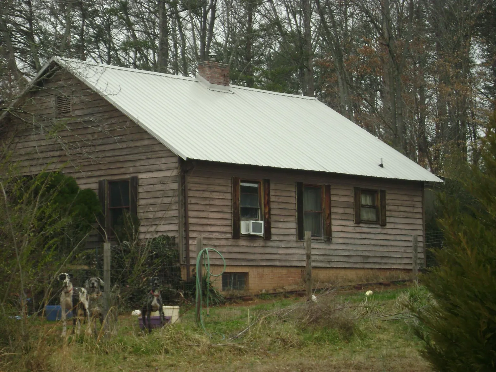 White metal roof on an old wood sided farmhouse, from a Asphalt Shingle Roof Repair job in New Park